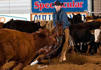 Cats Sugarshine - Abilene Spectacular 4YO Open